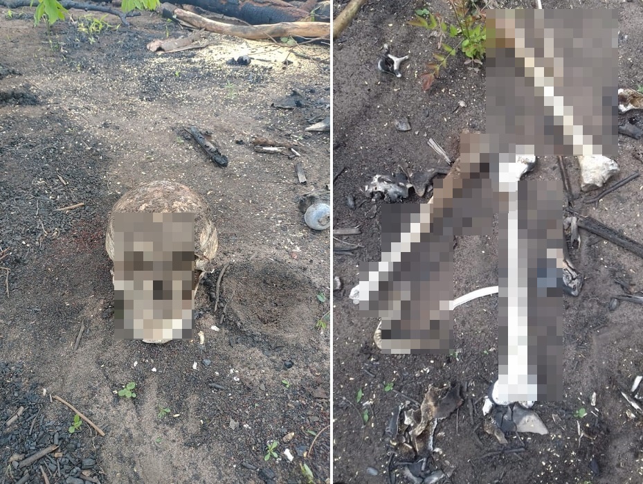 Ossada humana é encontrada na zona rural de Olho D’água do Piauí; há várias pessoas desaparecidas na região