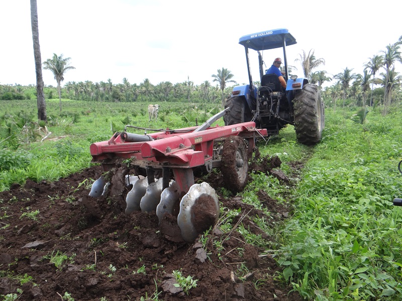 Secretaria de Agricultura já atendeu mais de 10 comunidades rurais com aração e gradação da terra em 2020