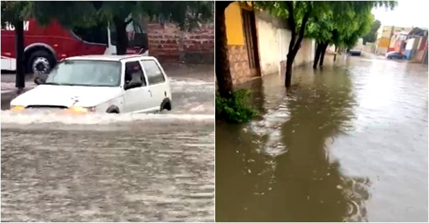 Chuva e ventos fortes deixam caos em Teresina: árvores caídas e alagamentos