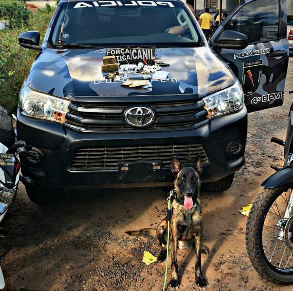 Polícia Militar apreende drogas, celulares e motocicletas na zona rural de Picos 
