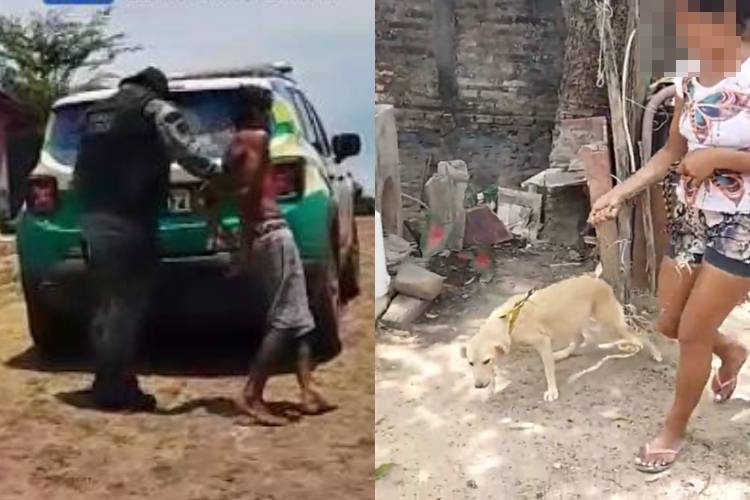 Homem é preso suspeito de estuprar cachorra em cidade do Piauí