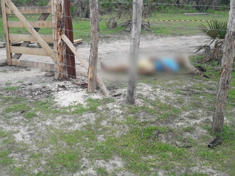 Homem é encontrado morto com sinais de espancamento a pauladas em Campo Maior