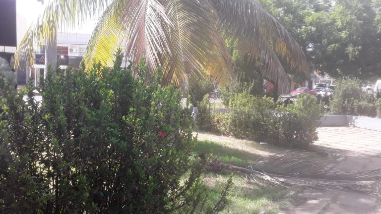 Reforma e revitalização da Praça Antenor Neiva será entregue dia 29