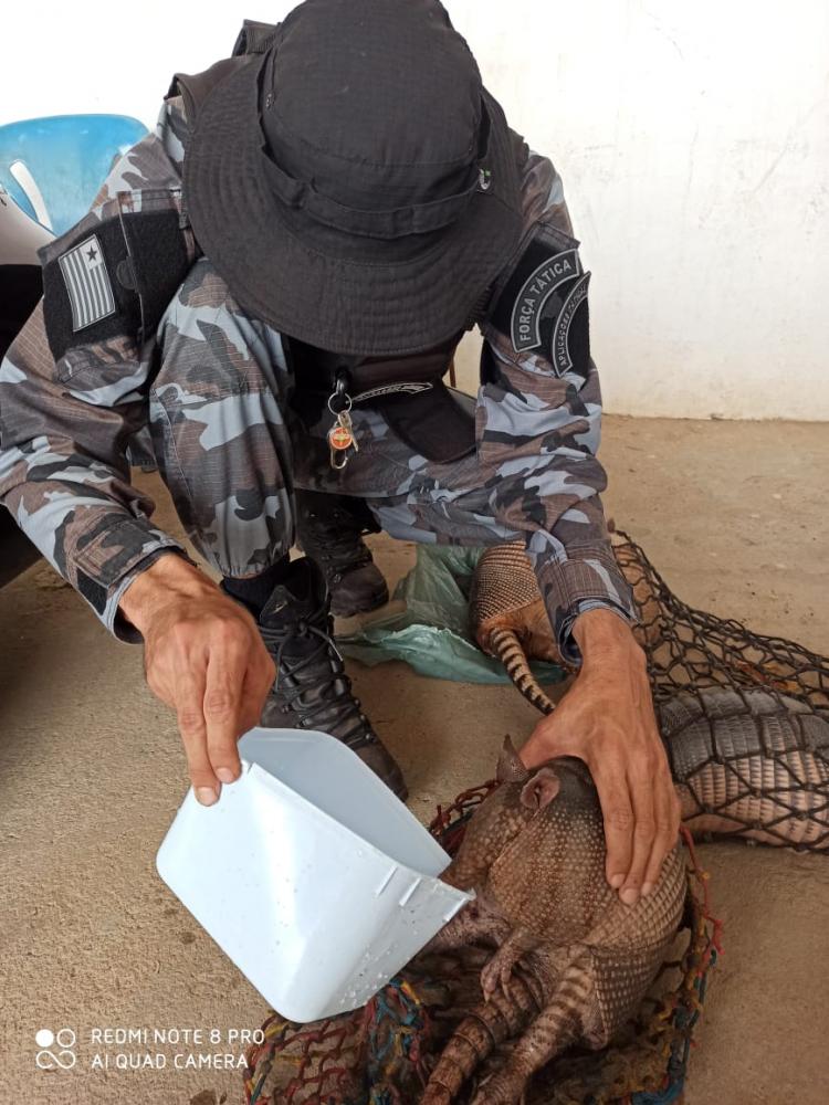 Caçadores são presos pela Força Tática com armas e animais silvestre