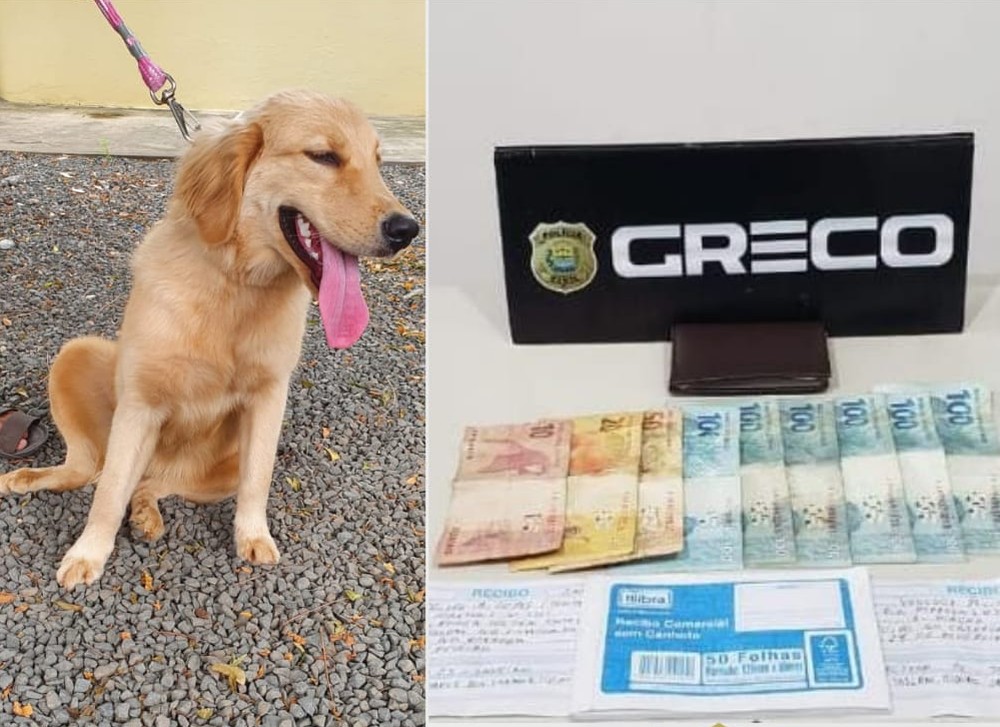 Suspeita de negociar venda de cachorros online é presa por estelionato em Teresina