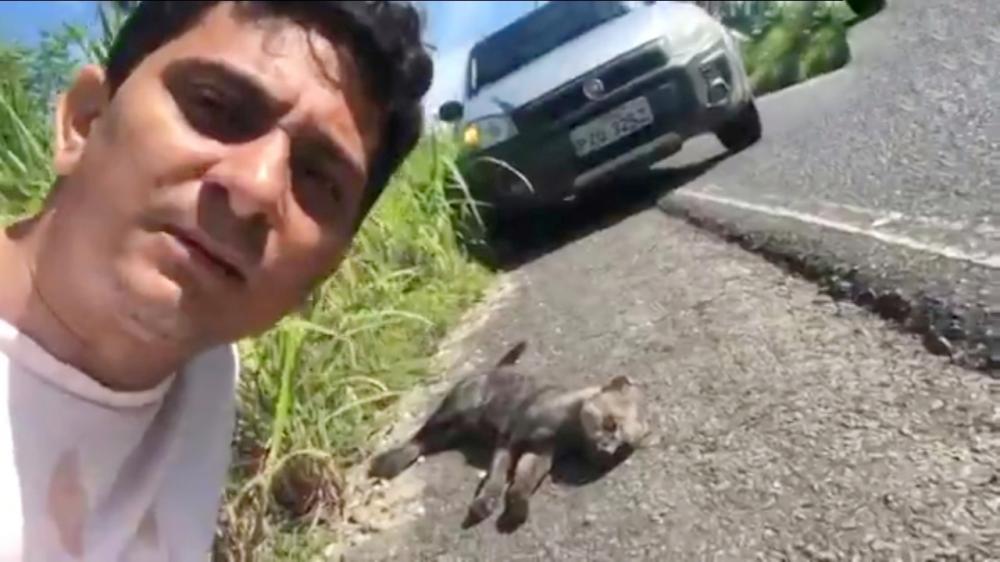 Biólogo flagra o raro gato-mourisco morto atropelado em estrada de Teresina