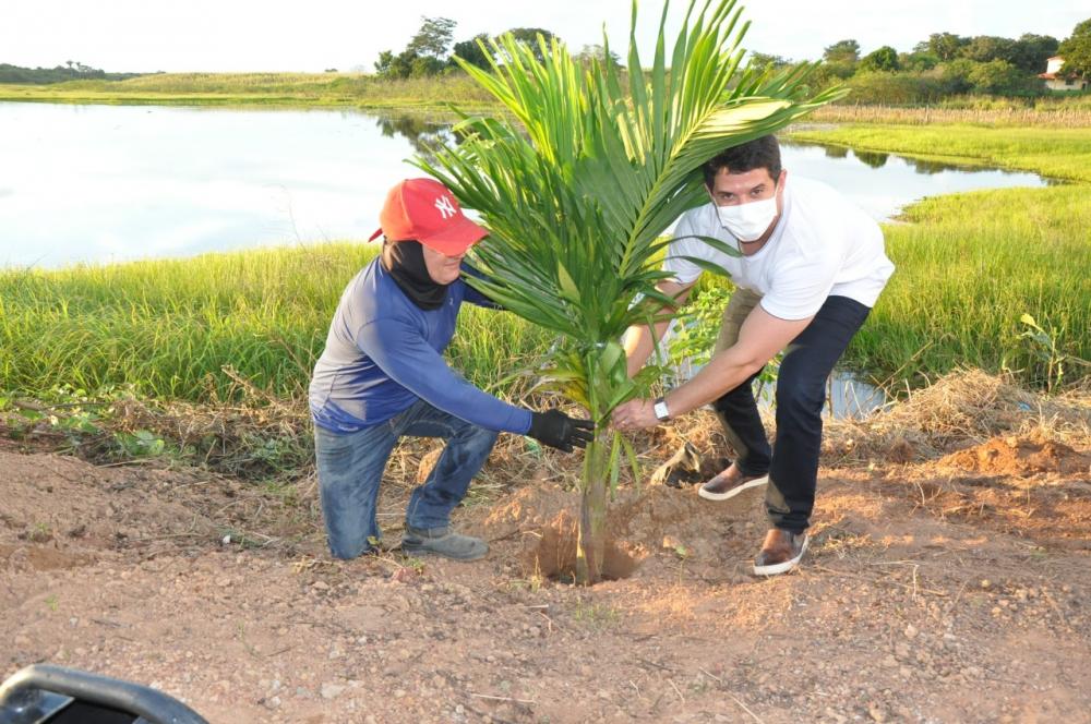 Prefeitura de Hugo Napoleão desenvolve ação ecológica com plantio de mudas de árvores