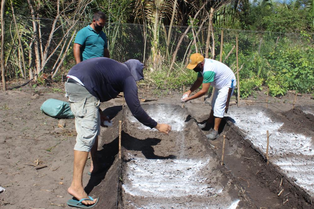 Prefeitura realiza curso de horticultura para pequenos agricultores familiares