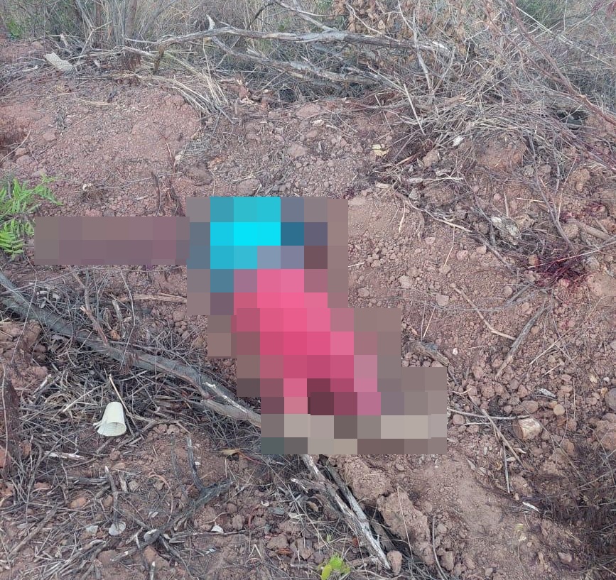 Local do crime