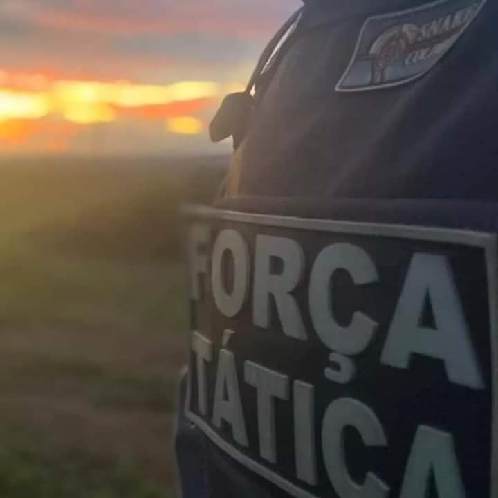 Força Tática prende caçadores em Valença