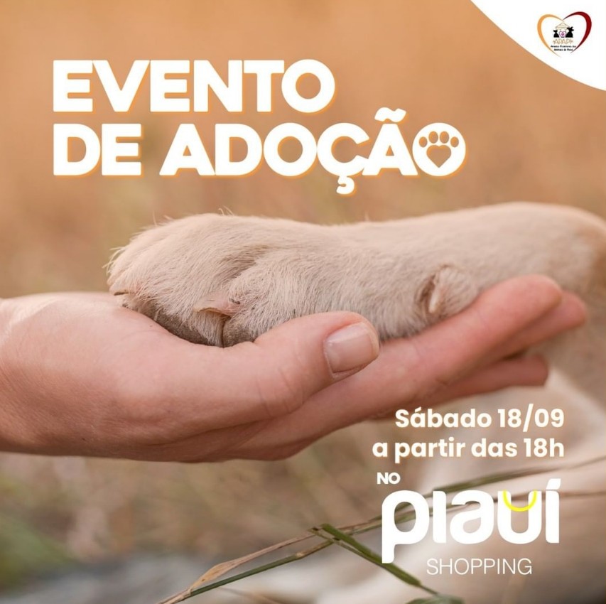 APAPI realizará feirinha de adoção de animais em Picos