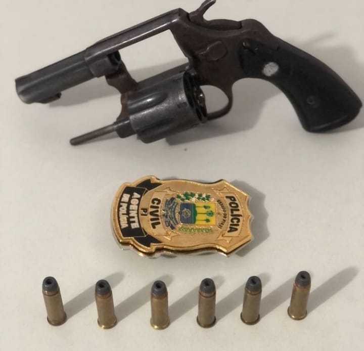 Polícia Civil de Picos prende homem por porte ilegal de arma de fogo