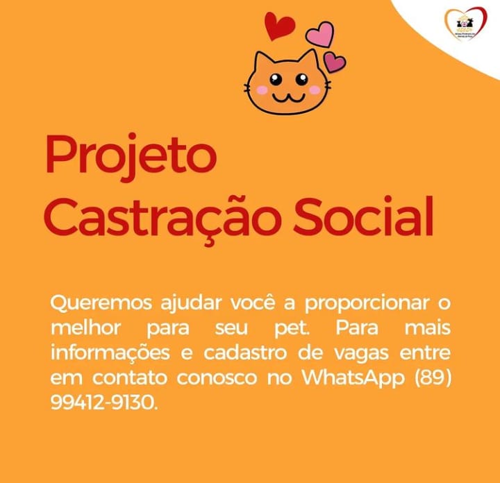 APAPI de Picos realiza ação social de castração de animais