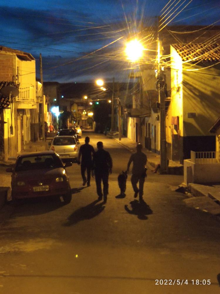 Cão farejador da Polícia Civil de Picos encontra droga escondida em entulho