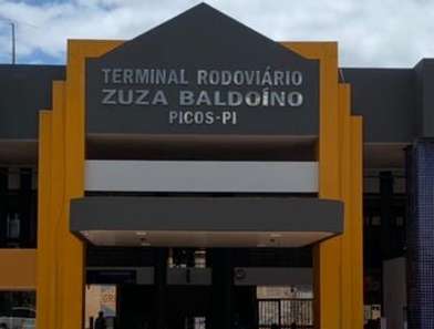 Jacaré é capturado no Terminal Rodoviário Zuza Baldoíno, em Picos