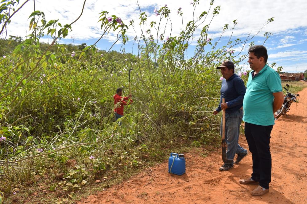 Prefeitura de Picos, através da Secretaria de Obras, realiza serviço de roço na comunidade Cajazeiras