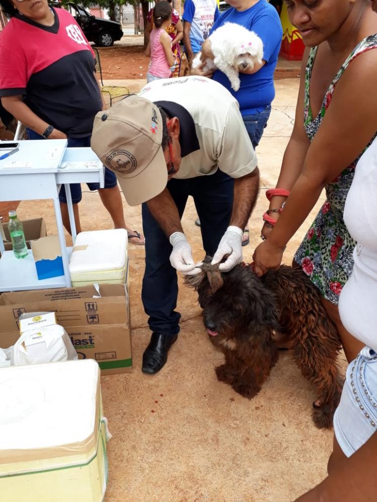 Secretaria de Saúde realiza nesse Sábado (16) Campanha de Vacinação Antirrábica Animal