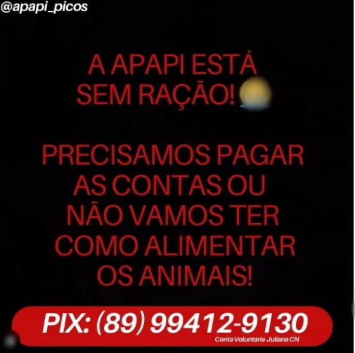 APAPI pede ajuda para custear despesas e comprar ração para alimentar os animais em Picos