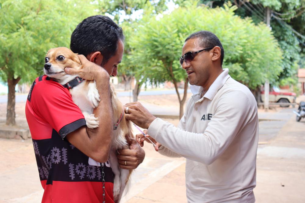Campanha antirrábica vacina centenas de cães e gatos em São Pedro do Piauí