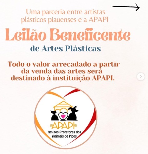 Artistas Plásticos piauienses doam obras de artes para um leilão beneficente em prol da APAPI de Picos