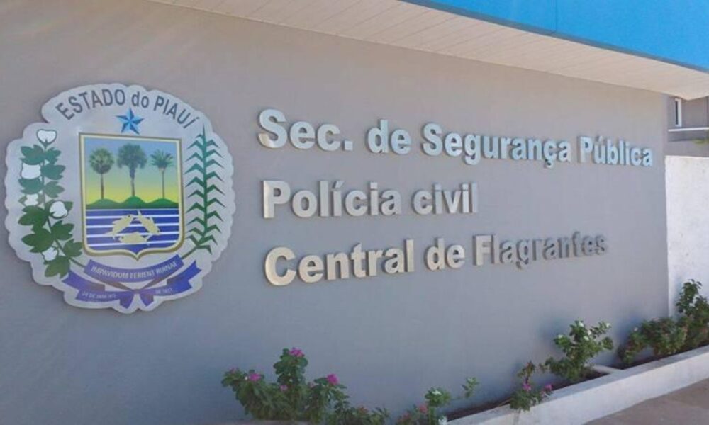 Polícia Civil de Picos divulga balanço das ocorrências referente ao mês de fevereiro de 2024 