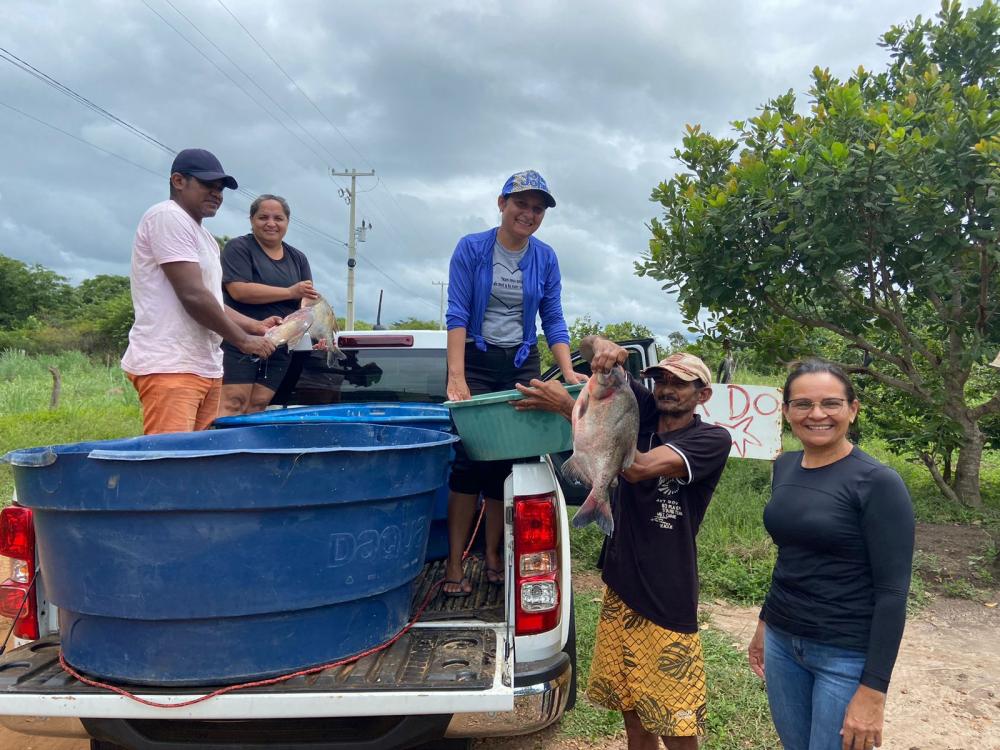 Prefeitura de Jardim do Mulato distribuiu peixes para a população