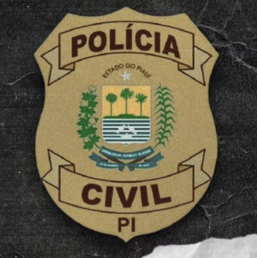 Polícia Civil de Picos indicia suspeitos de estelionato contra pessoa idosa