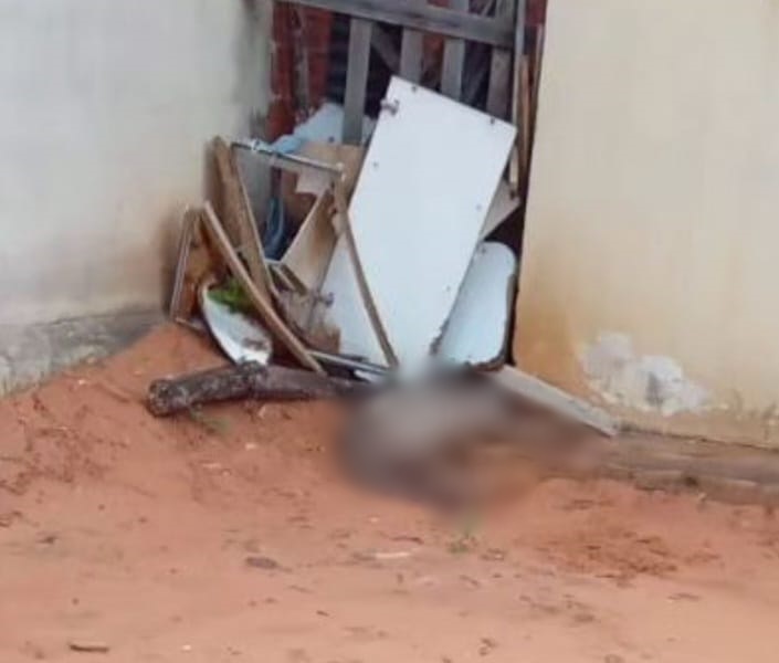 Cachorro é brutalmente assassinado a facadas em Picos; veja nota da APAPI
