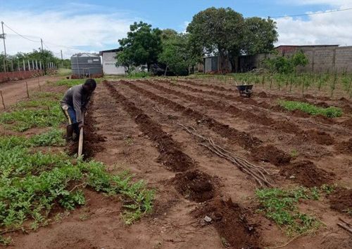Uespi-Tech: sistema de consórcio vai ajudar produção e comercialização de safras em Picos
