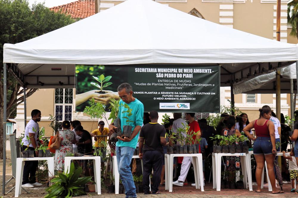 Prefeitura e Secretaria Municipal do Meio Ambiente distribuem mudas de plantas frutíferas e nativas