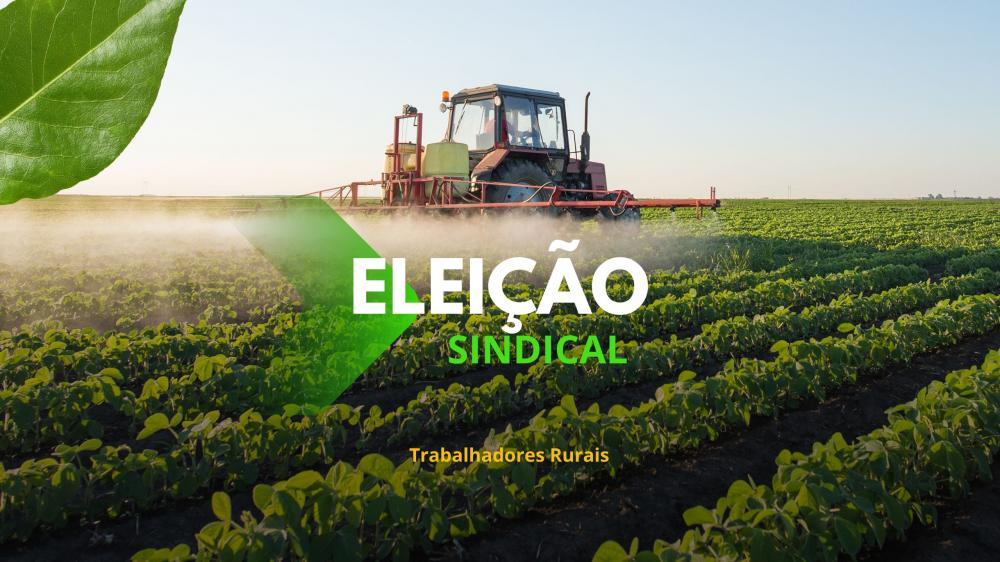São Pedro do PI | Sindicato dos Trabalhadores Rurais lança edital para eleição da diretoria 2025 