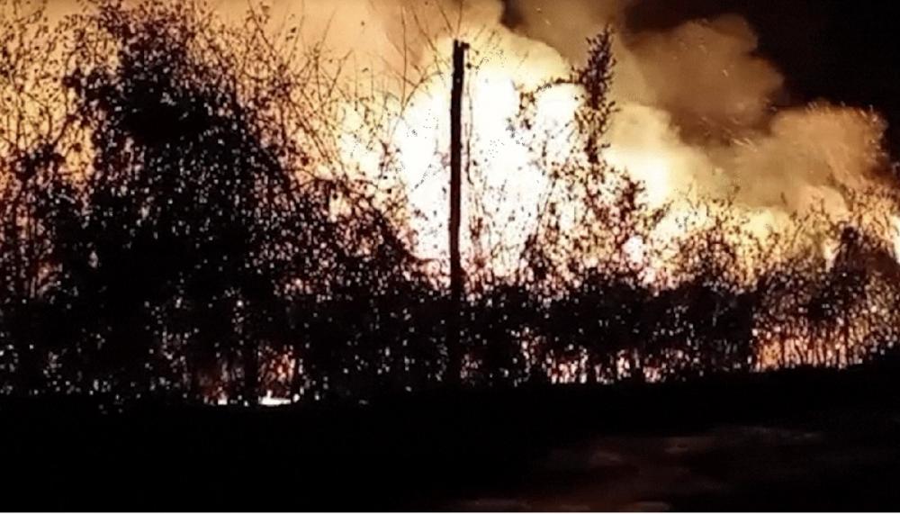 Incêndio atinge vegetação na zona rural de Monsenhor Gil e assusta moradores