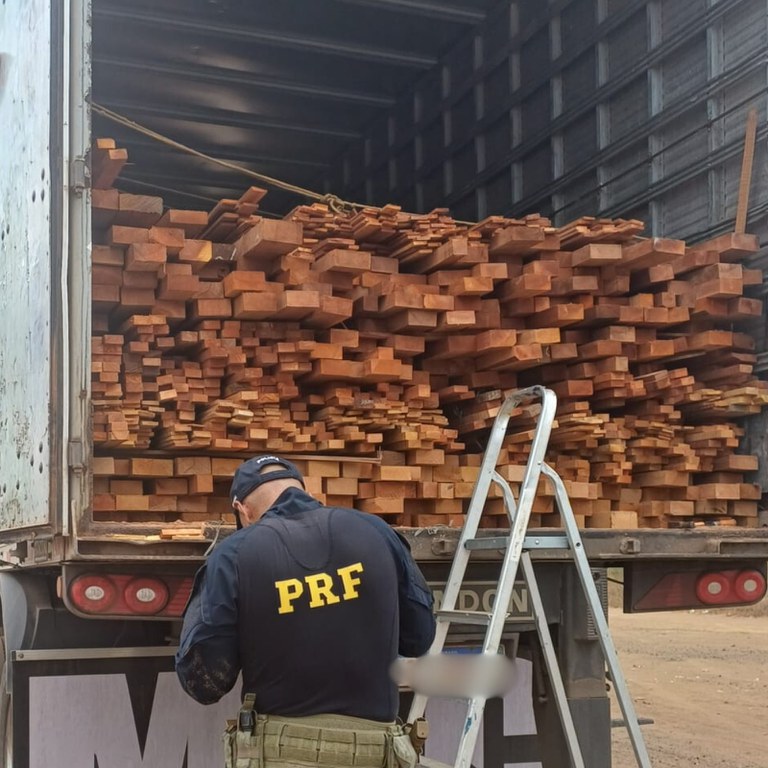 PRF apreende 37 m³ de madeira serrada irregular durante fiscalização em Picos