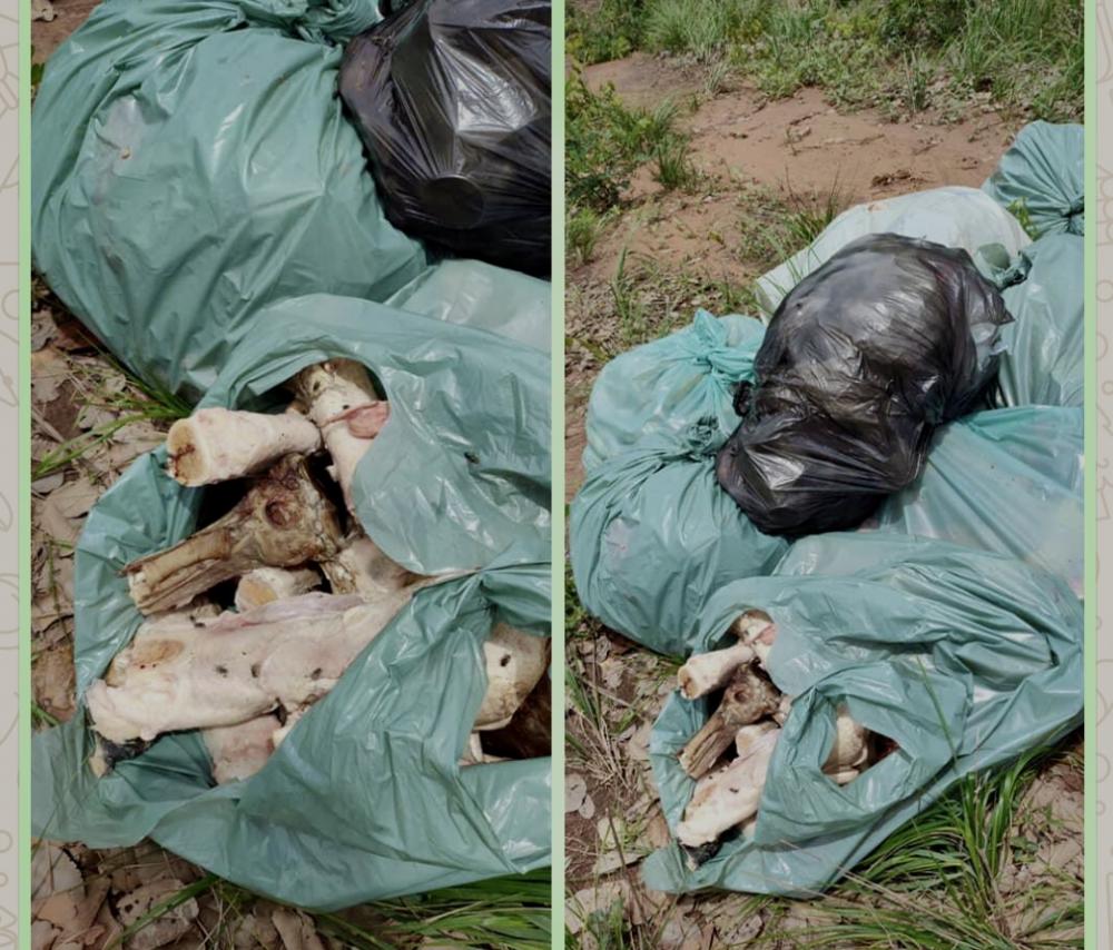 Moradores denunciam descarte irregular de lixo e restos de animais em estrada rural de Angical do Piauí