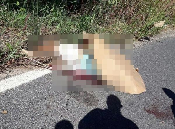 Homem de 49 anos tem corpo dilacerado em acidente na BR-316, em Teresina