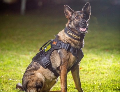 SSP-PI realiza cortejo fúnebre em homenagem à K9 Catrina nesta quarta-feira