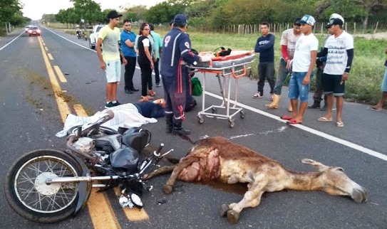 Jumento morre e motociclista fica ferido após colisão na região norte do Piauí