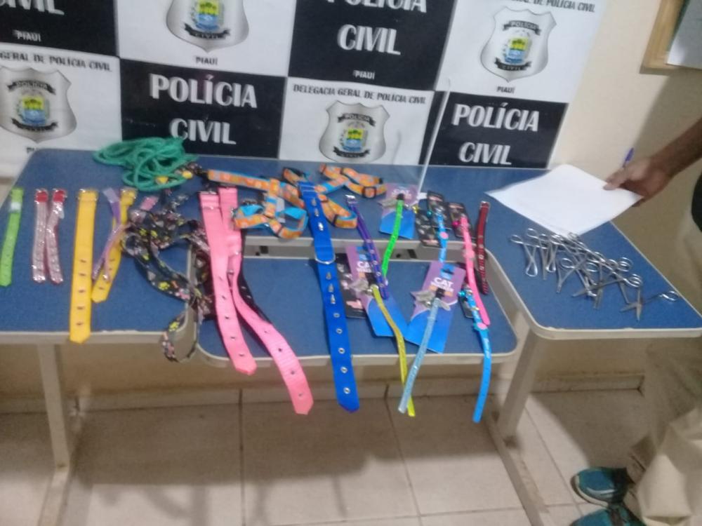 Em Picos nem ‘Pet Shop’ escapa da bandidagem