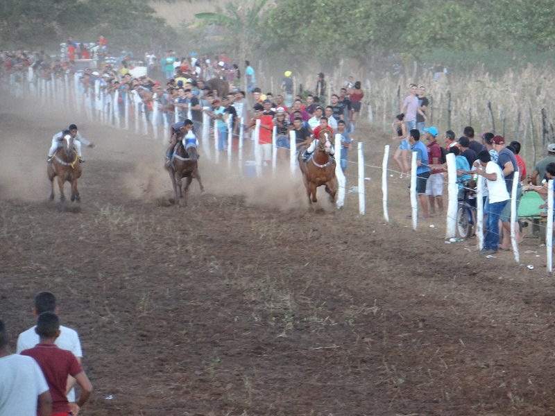 Povoado Pedras realiza tradicional corrida de cavalos