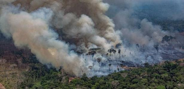 Decisões da gestão Bolsonaro fragilizaram controle ambiental no país