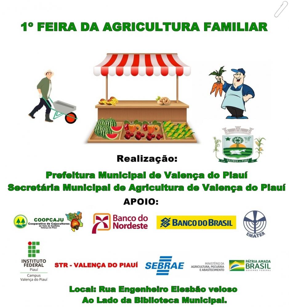 Feira da Agricultura Familiar Chega a Valença do Piauí