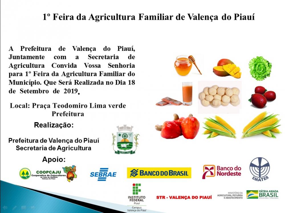 I Feira da Agricultura Familiar de Valença do Piauí