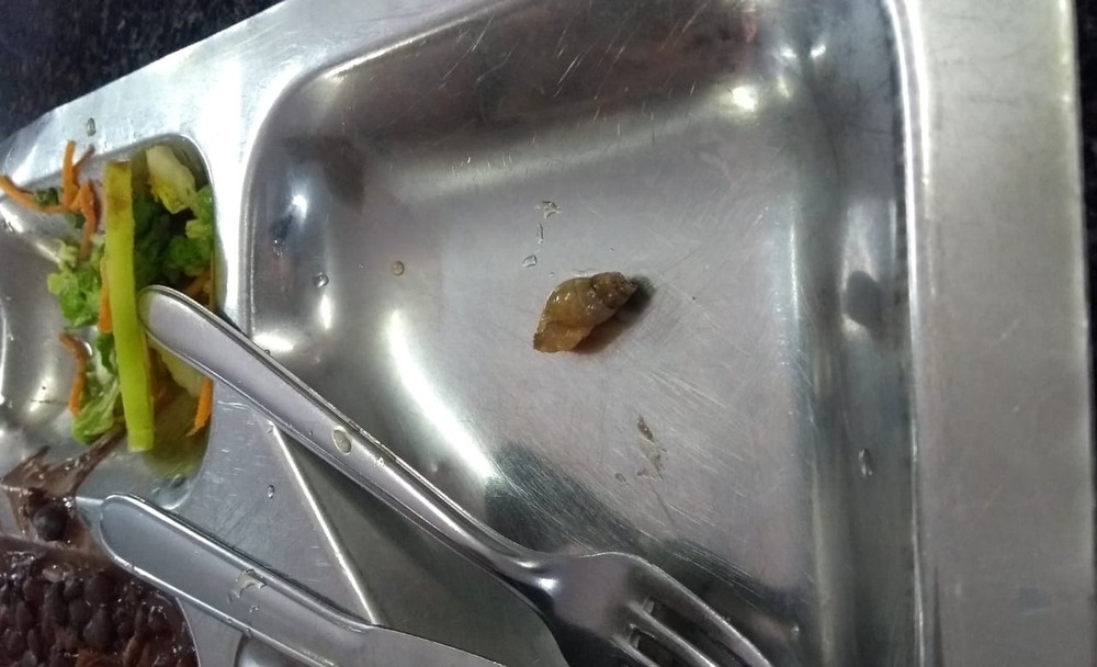 Estudante encontra caramujo dentro de salada servida em restaurante universitário da UFPI