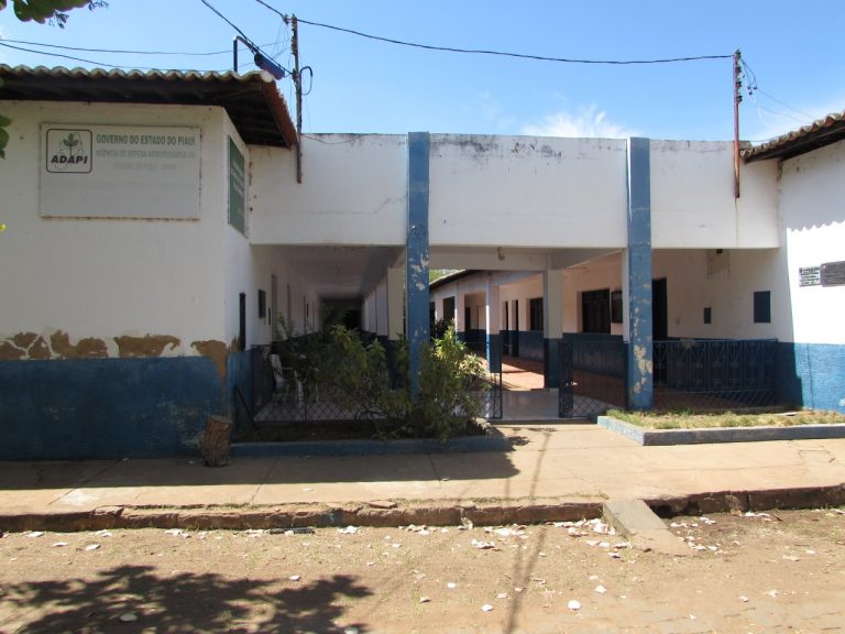 Vacina contra febre aftosa termina dia 30 de novembro