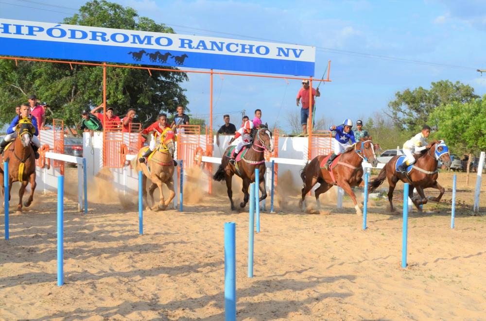Corrida de cavalos reúne multidão no Rancho NV em São Pedro do Piauí; veja imagens
