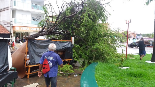 Forte chuva derruba árvores e destrói quiosque em cidade do Piauí